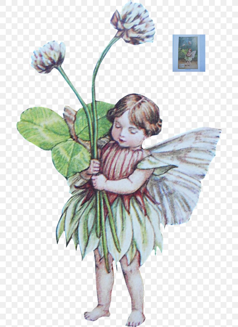 Fairy Flower Fairies Of The Summer Duende Elf, PNG, 710x1126px, Fairy, Animation, Avalon, Cicely Mary Barker, Costume Design Download Free