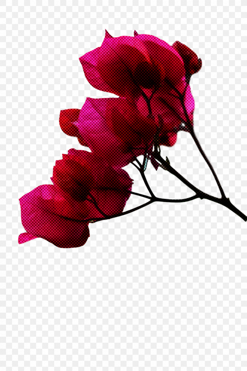 Garden Roses, PNG, 1200x1807px, Garden Roses, Cut Flowers, Flower, Garden, Petal Download Free