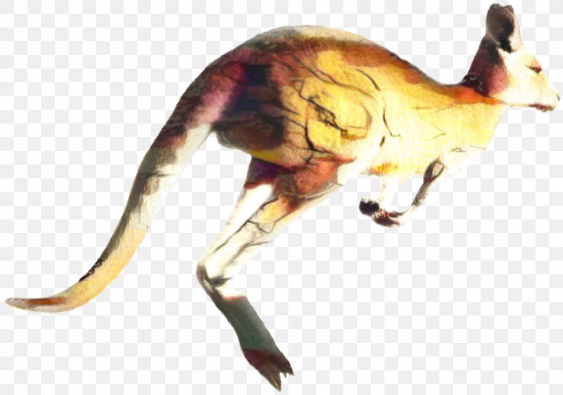 Macropods Kangaroo Clip Art Image, PNG, 921x647px, Macropods, Animal, Animation, Blog, Drawing Download Free
