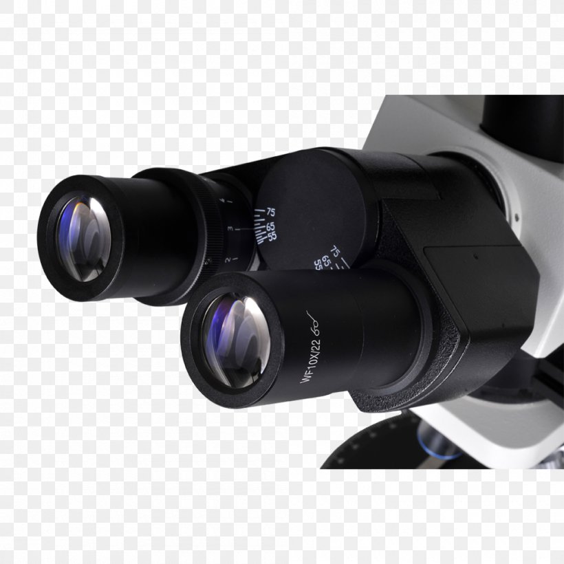Polarized Light Microscopy Polarizer Petrographic Microscope Optical Microscope, PNG, 1000x1000px, Polarized Light Microscopy, Binoculars, Eyepiece, Hardware, Microscope Download Free