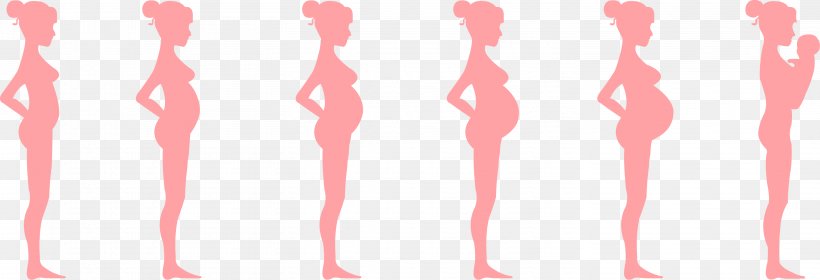 Pregnancy Month Prenatal Development Fetus Childbirth, PNG, 2926x1001px, Watercolor, Cartoon, Flower, Frame, Heart Download Free