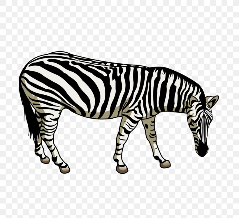 Quagga Horses Zebra Zebroid, PNG, 750x750px, Quagga, Animal, Animal Figure, Art, Black And White Download Free