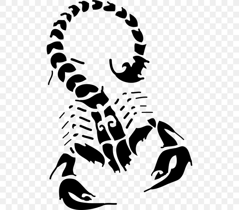 Scorpion Tattoo Flash Drawing, PNG, 500x720px, Scorpion, Art, Artwork, Black, Black And White Download Free