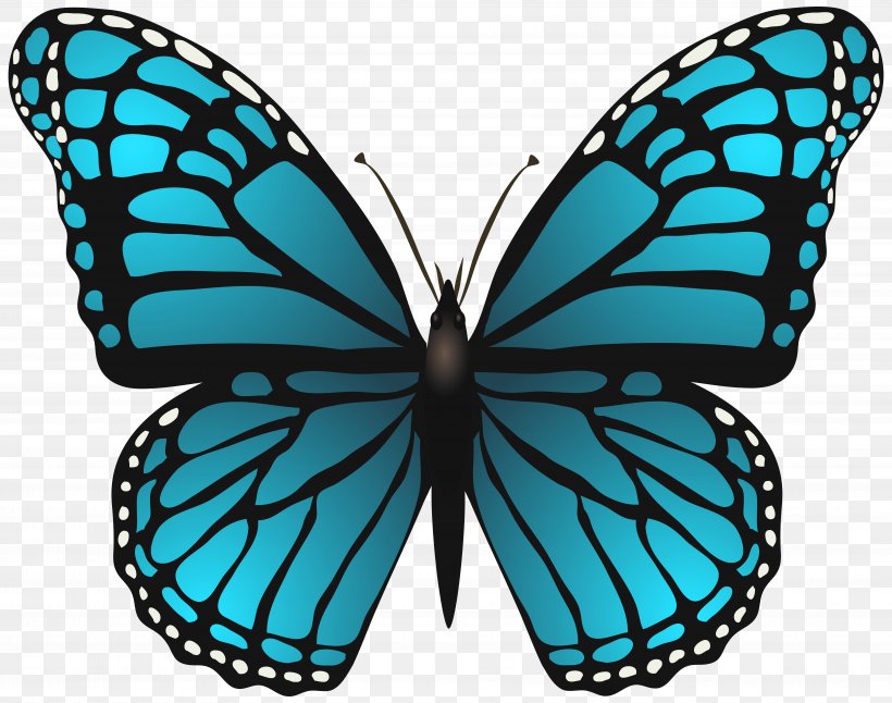 Butterfly Blue Stock Photography Clip Art, PNG, 7614x6007px, Butterfly, Arthropod, Blue, Brush Footed Butterfly, Can Stock Photo Download Free