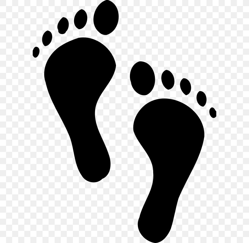 Footprint Infant Clip Art, PNG, 606x800px, Foot, Black, Black And White, Footprint, Hand Download Free