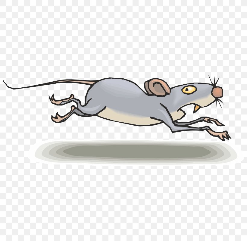 Rat Clip Art Mus Cartoon Drawing, PNG, 800x800px, Rat, Animated Cartoon,  Carnivoran, Cartoon, Cat Download Free