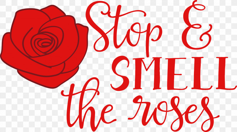 Rose Stop And Smell The Roses, PNG, 2999x1668px, Rose, Cut Flowers, Floral Design, Flower, Garden Download Free