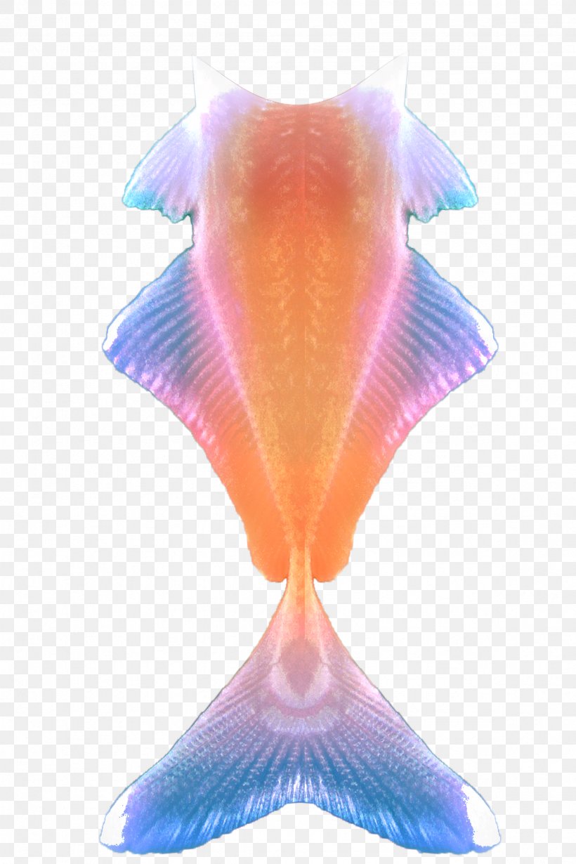 Siamese Fighting Fish Tail Mermaid Clip Art, PNG, 2362x3543px, Fish, Animal, Fish Fin, Fishtales, Information Download Free