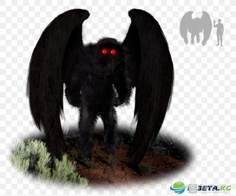 The Mothman Prophecies Point Pleasant Wikipedia Silver Bridge, PNG, 800x683px, Mothman, Arabic Wikipedia, Encyclopedia, English, Fauna Download Free