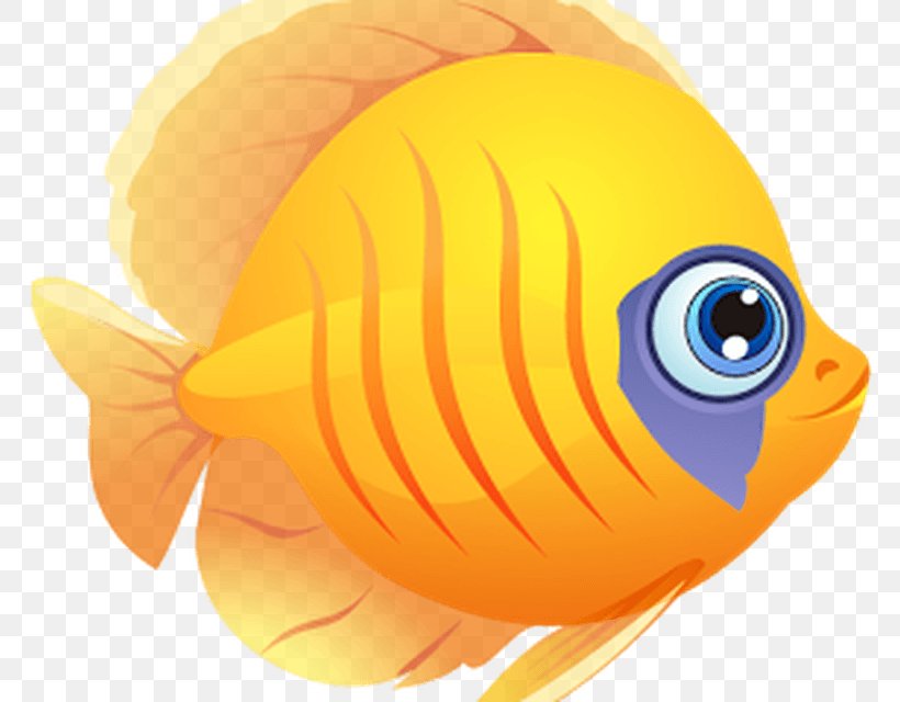 Fish Adventure Aquarium My Fish Tank Aquarium Android, PNG, 800x640px, Fish Adventure Aquarium, Android, Aquarium, Coral Reef Fish, Fish Download Free