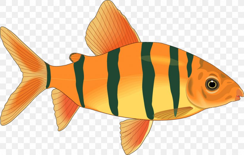 Fish Salmon, PNG, 1000x635px, Fish, Bony Fish, Cartoon, Color, Coreldraw Download Free