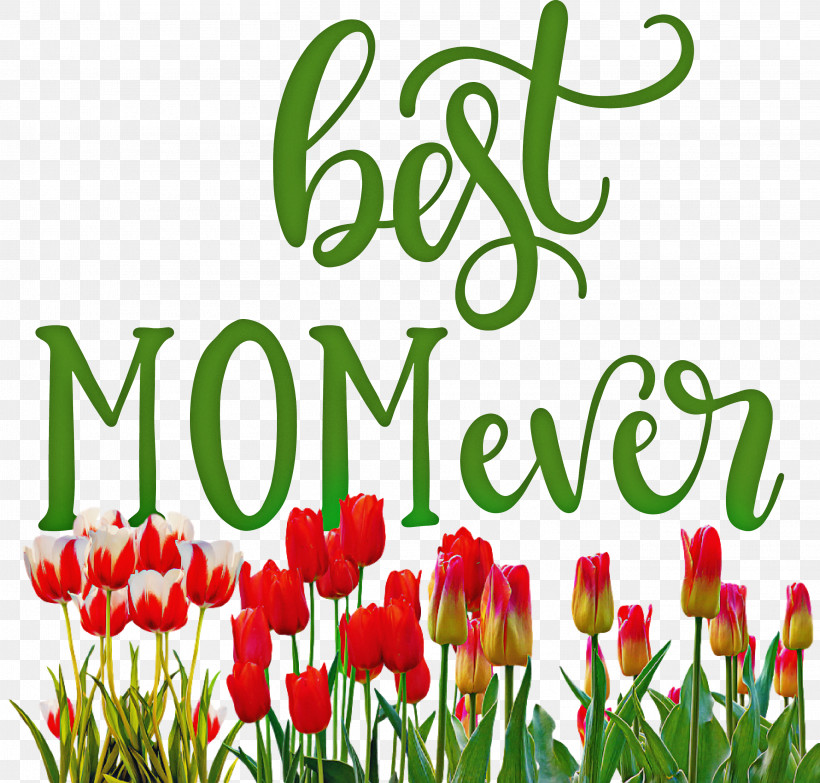 Mothers Day Best Mom Ever Mothers Day Quote, PNG, 3017x2884px, Mothers Day, Best Mom Ever, Cut Flowers, Daffodil, Floral Design Download Free