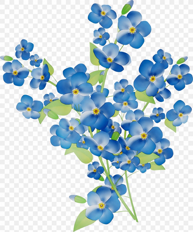 Petal Scorpion Grasses Product Floral Design Flower, PNG, 1731x2087px, Petal, Blue, Borage, Borage Family, Borages Download Free