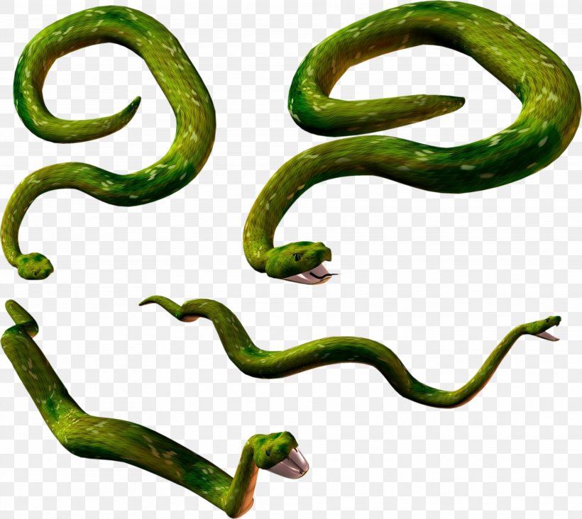 Snake Lizard Reptile Clip Art, PNG, 3745x3345px, Snake, Amphibian, Animal, Animal Figure, Body Jewelry Download Free