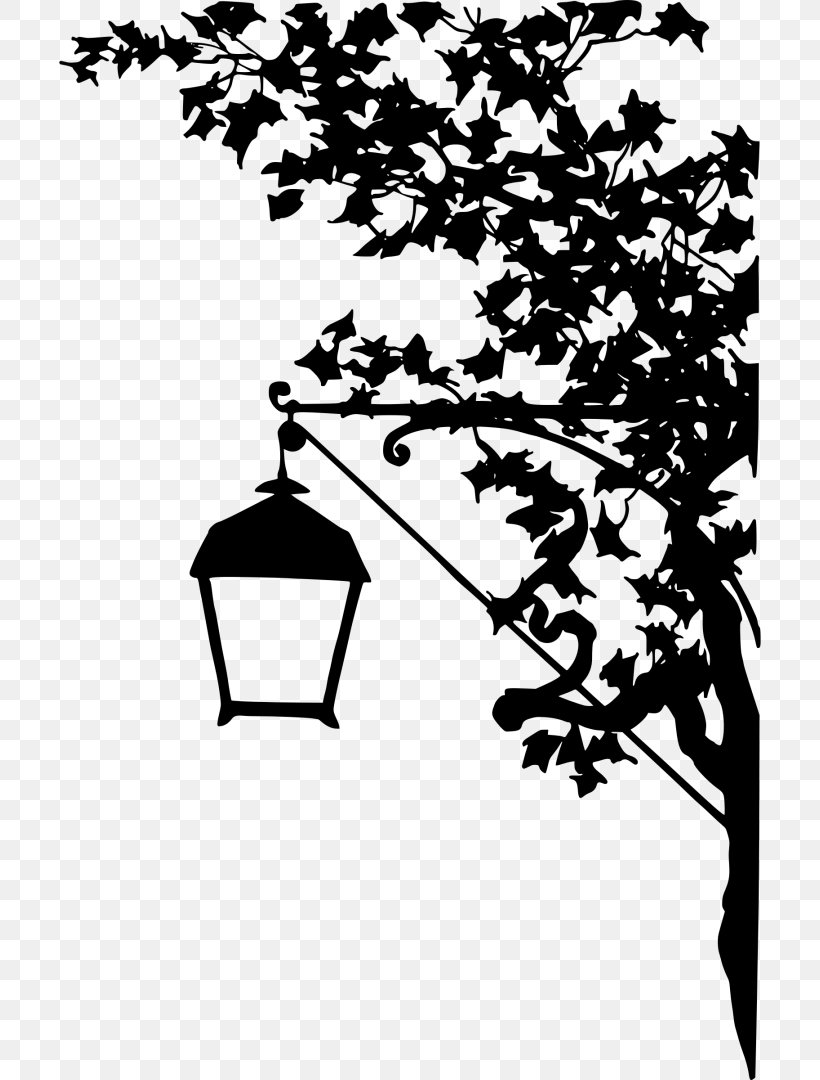 Street Light Lamp Lantern, PNG, 702x1080px, Light, Black And White, Branch, Flora, Flower Download Free