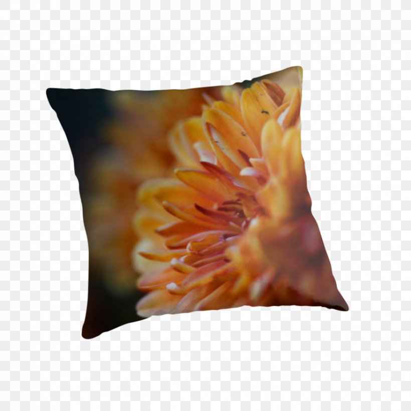 Throw Pillows Cushion, PNG, 875x875px, Throw Pillows, Cushion, Flower, Orange, Peach Download Free