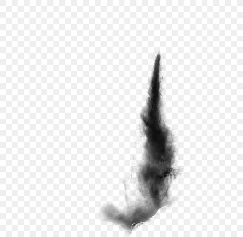 Tornado, PNG, 800x800px, Tornado, Black, Black And White, Cat, Close Up Download Free