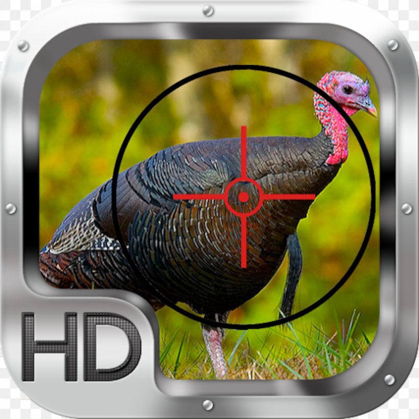 Turkey Bird Bourbon Red Food Plot, PNG, 1024x1024px, Turkey, Beak, Bird, Domesticated Turkey, Fauna Download Free