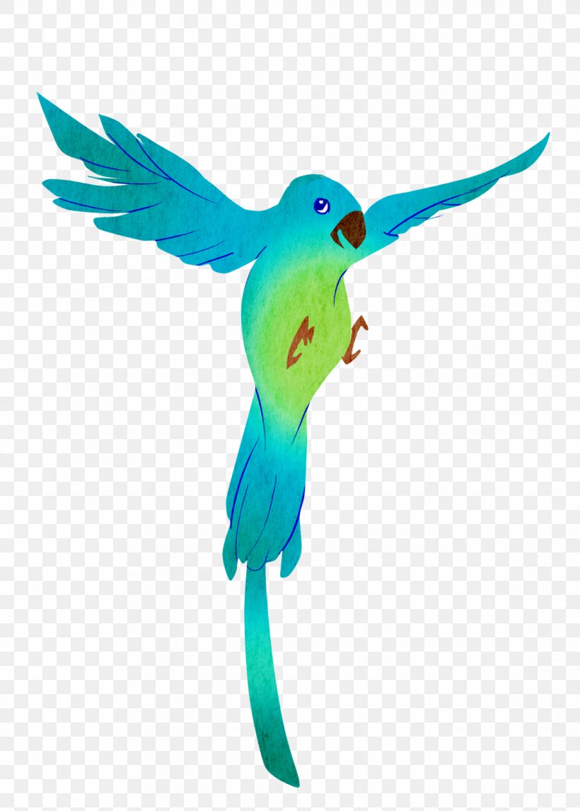 Parrot Bird Parakeet Macaw Feather, PNG, 1145x1600px, Parrot, Animal, Beak, Bird, Common Pet Parakeet Download Free