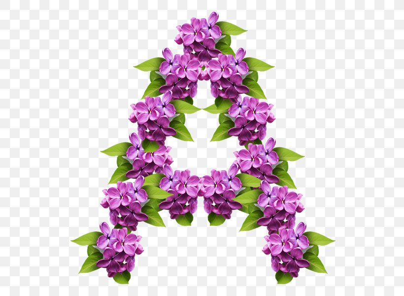 Russian Alphabet Letter English Alphabet, PNG, 600x600px, Alphabet, Cut Flowers, Delphinium, Dendrobium, English Alphabet Download Free