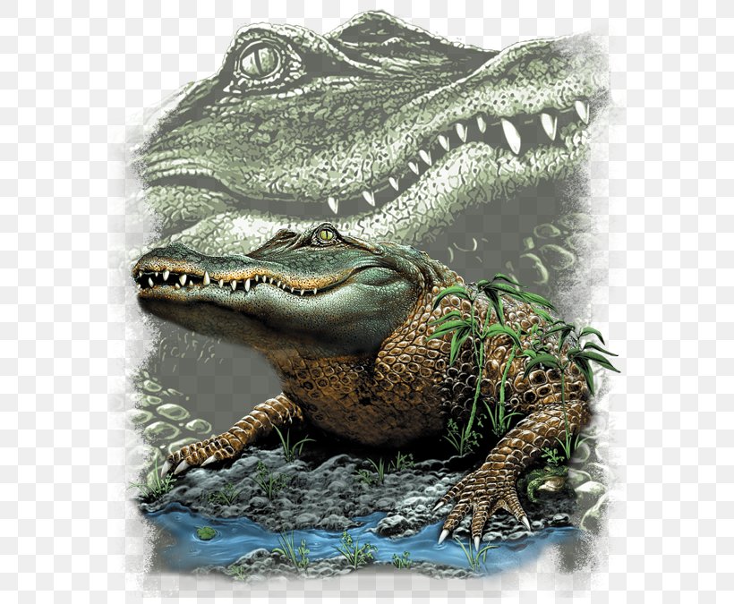 T-shirt Hoodie Top Alligators, PNG, 675x675px, Tshirt, Alligator, Alligators, American Alligator, Amphibian Download Free