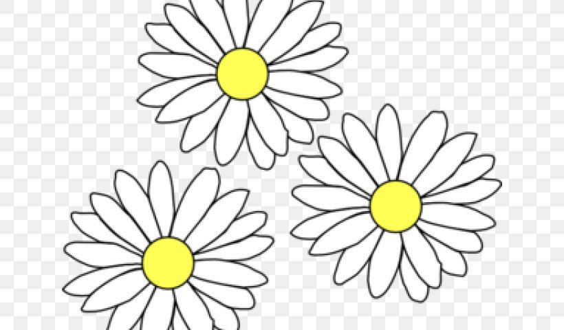 Clip Art Image Drawing Illustration, PNG, 640x480px, Drawing, Blackandwhite, Camomile, Chamaemelum Nobile, Chamomile Download Free