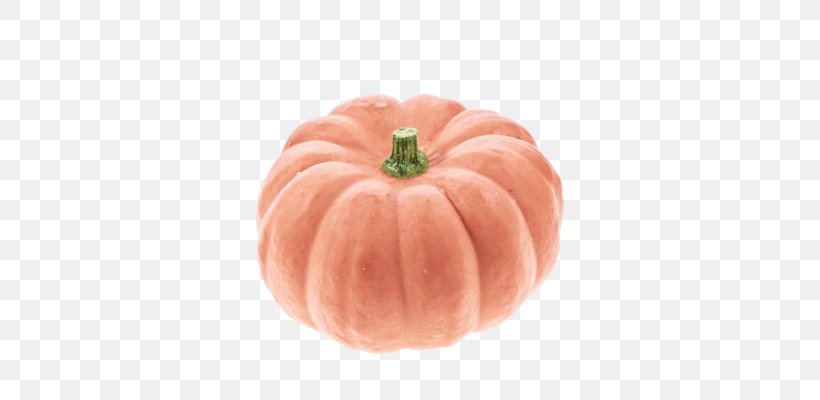 Gourd Pumpkin Pie Winter Squash Cucurbita, PNG, 400x400px, Gourd, Calabaza, Carving, Cinderella, Commodity Download Free
