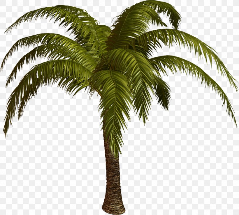 Palm Trees Clip Art Illustration Image, PNG, 1198x1080px, Palm Trees, Arecales, Asian Palmyra Palm, Attalea, Attalea Speciosa Download Free