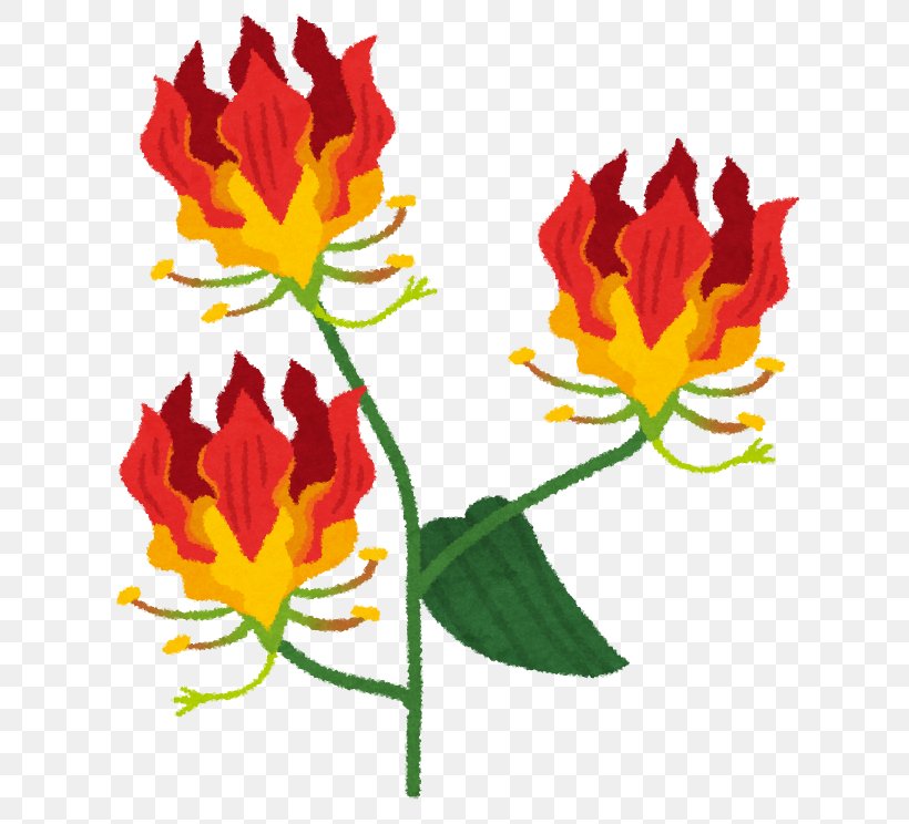 Tulip Ise Flower Petal Fire Lilies, PNG, 674x744px, Tulip, Afacere, Business Administration, Business Plan, Cut Flowers Download Free