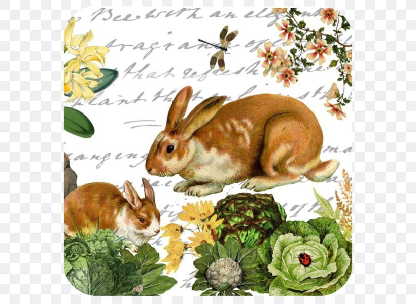 Domestic Rabbit Cutting Boards Tray Kitchen, PNG, 600x600px, Domestic Rabbit, Cheese, Coasters, Cutting, Cutting Boards Download Free
