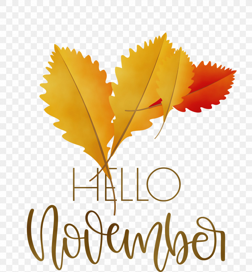 Leaf Font Meter Plant Structure Plant, PNG, 2784x3000px, Hello November, Biology, Leaf, Meter, November Download Free