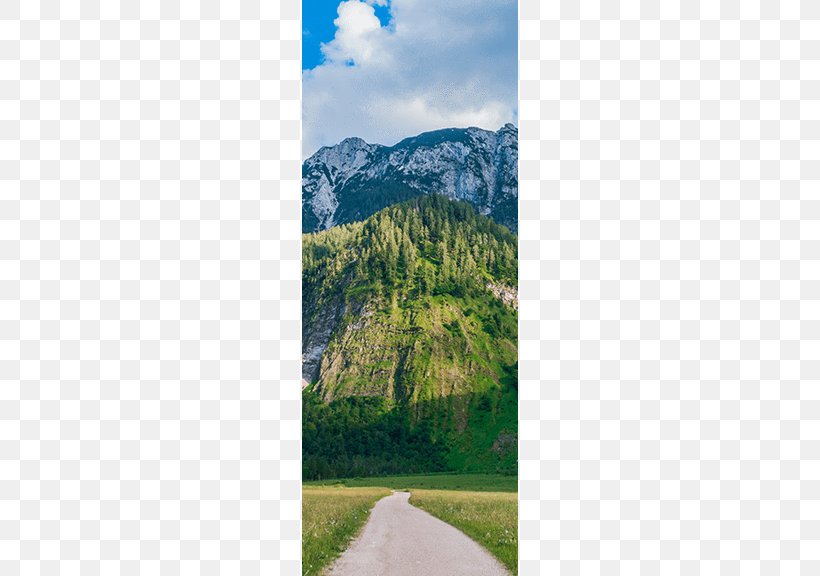 Mount Scenery Mountain Trail Walkway Wood, PNG, 576x576px, Mount Scenery, Biome, Door, Ecosystem, Grass Download Free