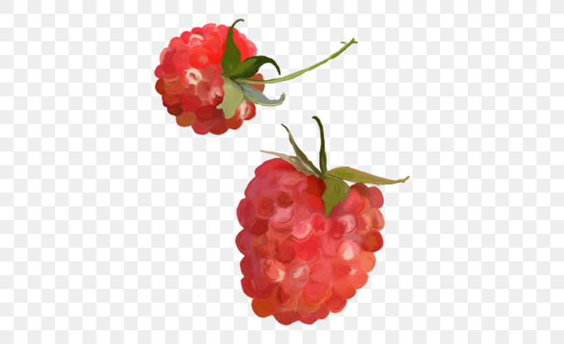 Raspberry Strawberry, PNG, 500x500px, Raspberry, Accessory Fruit, Auglis, Berry, Cherry Download Free