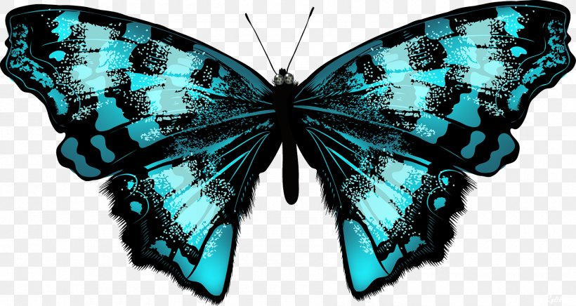Butterfly Eastern Tiger Swallowtail Drawing Illustration Vector Graphics, PNG, 1800x958px, Butterfly, Arthropod, Brush Footed Butterfly, Butterfly Net, Drawing Download Free