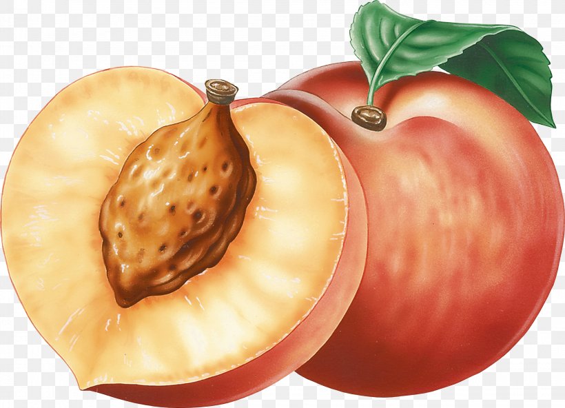Nectarine Clip Art, PNG, 2300x1663px, Peach, Apple, Blog, Diet Food, Food Download Free