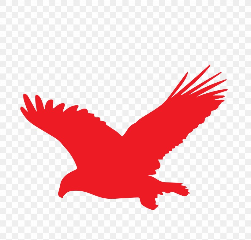 Bald Eagle Golden Eagle Clip Art, PNG, 2533x2422px, Bald Eagle, Beak, Bird, Bird Of Prey, Blackandwhite Hawkeagle Download Free