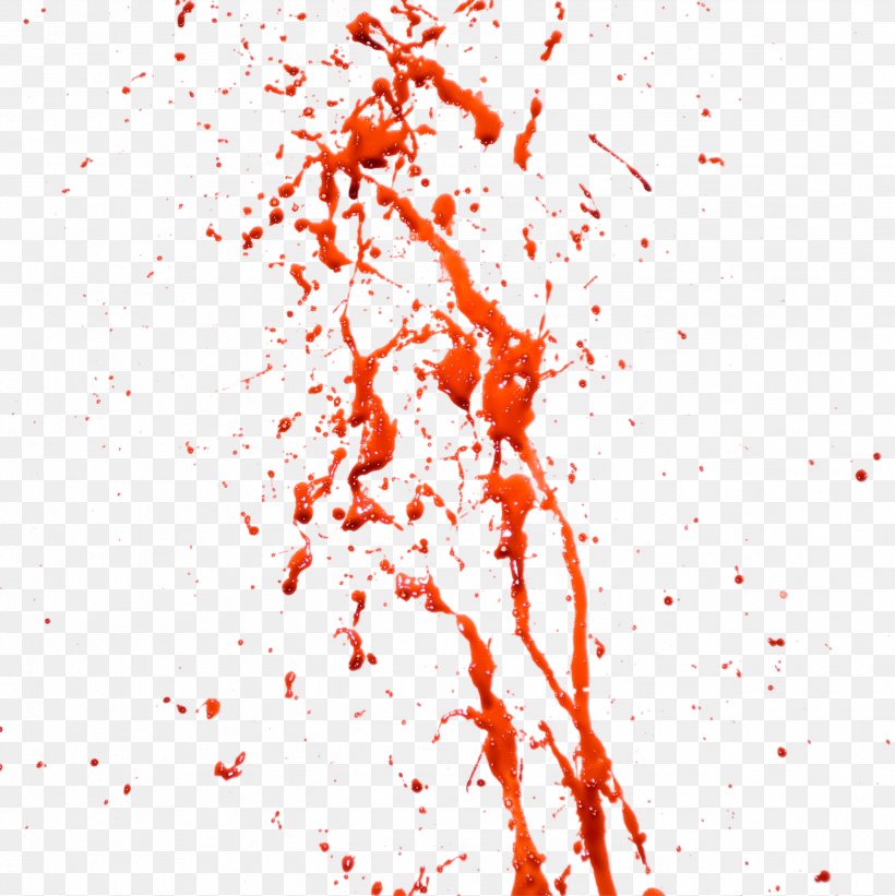 Blood Clip Art, PNG, 2581x2586px, Blood, Area, Blood Plasma, Bloodstain Pattern Analysis, Branch Download Free