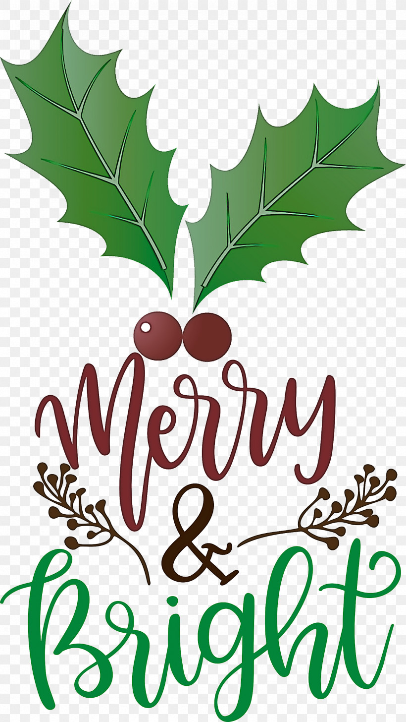 Merry And Bright, PNG, 1689x3000px, Merry And Bright, Biology, Fruit, Leaf, Picture Frame Download Free