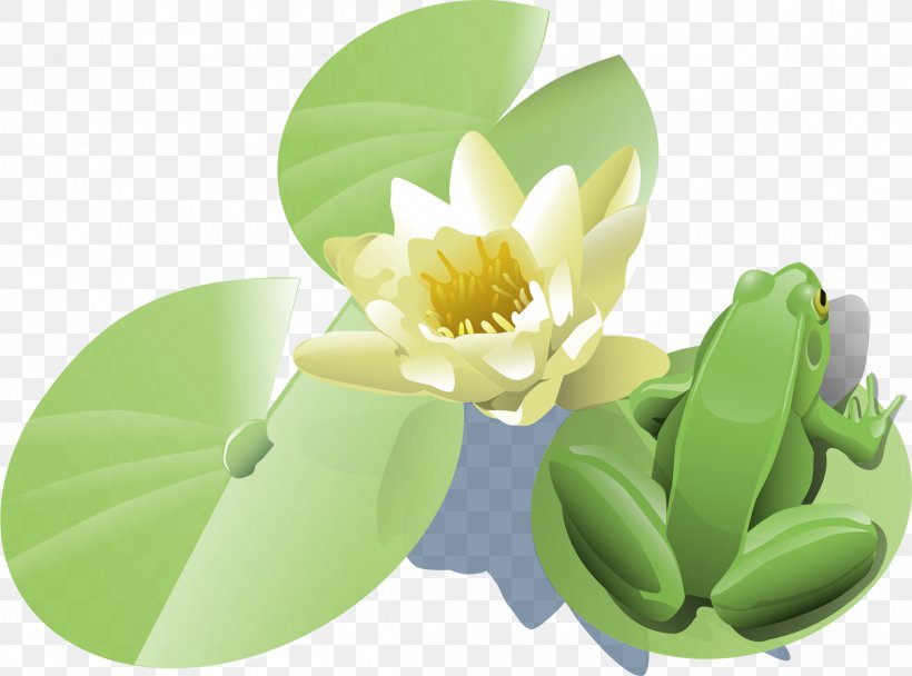 Frog Egyptian Lotus Clip Art, PNG, 2400x1782px, Frog, Amphibian, Egyptian Lotus, Flower, Green Download Free