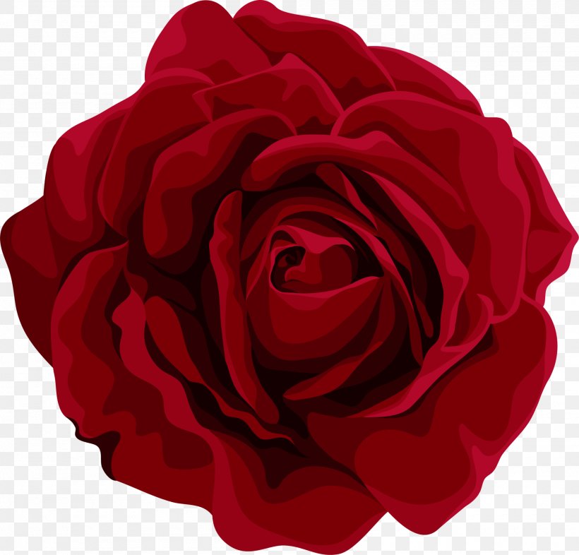Garden Roses Centifolia Roses Red Flower Petal, PNG, 2000x1918px, Garden Roses, Centifolia Roses, Cut Flowers, Floribunda, Floristry Download Free