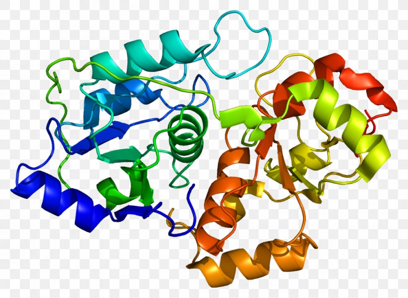 Protein MT-ND1 Nitrosylation Rhodanese Gene, PNG, 1006x734px, Watercolor, Cartoon, Flower, Frame, Heart Download Free