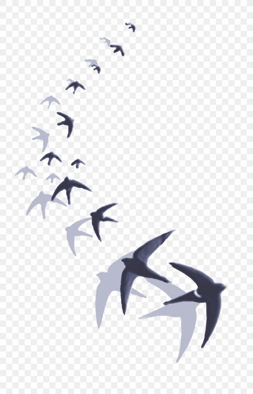 Barn Swallow Hirundininae Drawing Bird, PNG, 1026x1600px, Barn Swallow, Animal, Art, Bird, Black And White Download Free