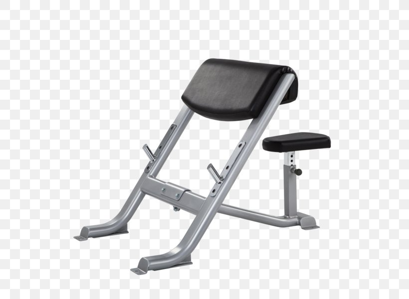Bench Biceps Curl Chair, PNG, 600x600px, Bench, Biceps Curl, Chair, Exercise Equipment, Exercise Machine Download Free