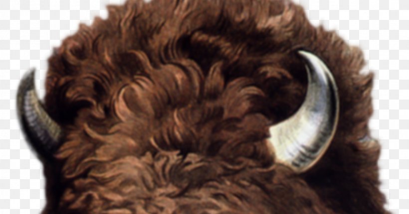 Buffalo County, Nebraska American Bison Clip Art, PNG, 1174x616px, Buffalo, African Buffalo, American Bison, Art, Bison Download Free