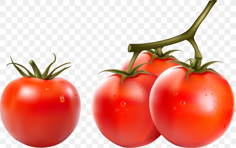 Cherry Tomato Vegetable Capsicum Clip Art, PNG, 1500x939px, Cherry Tomato, Bush Tomato, Capsicum, Diet Food, Food Download Free