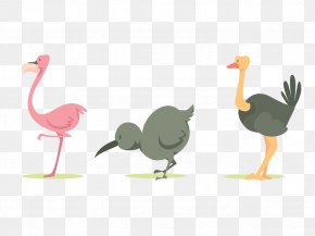 Cartoon Ostrich Crane - Common Ostrich Bird Cartoon PNG