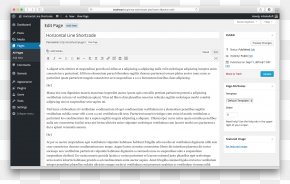 Horizontal Line - Computer Software WordPress Theme Plug-in PNG