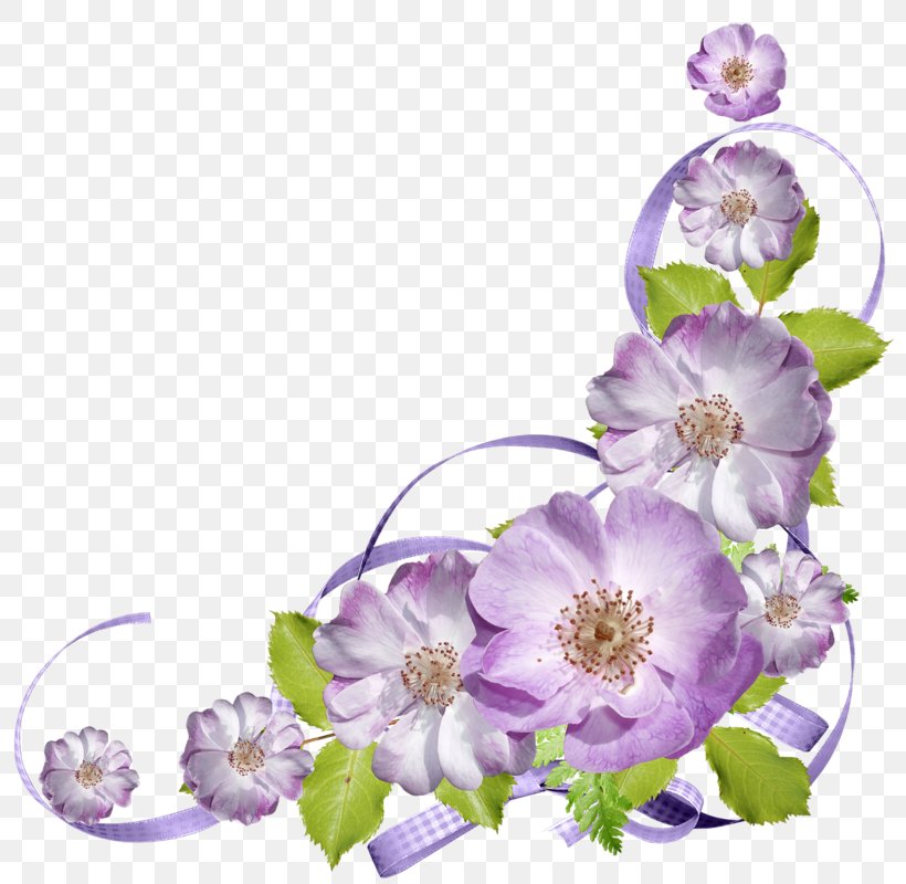 Flower Clip Art, PNG, 800x800px, Flower, Blossom, Conifer Cone, Cut Flowers, Decoupage Download Free