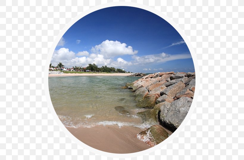 Shore Coast Water Resources Clean Rayong, PNG, 540x536px, Shore, Accommodation, Car Park, Clean, Coast Download Free