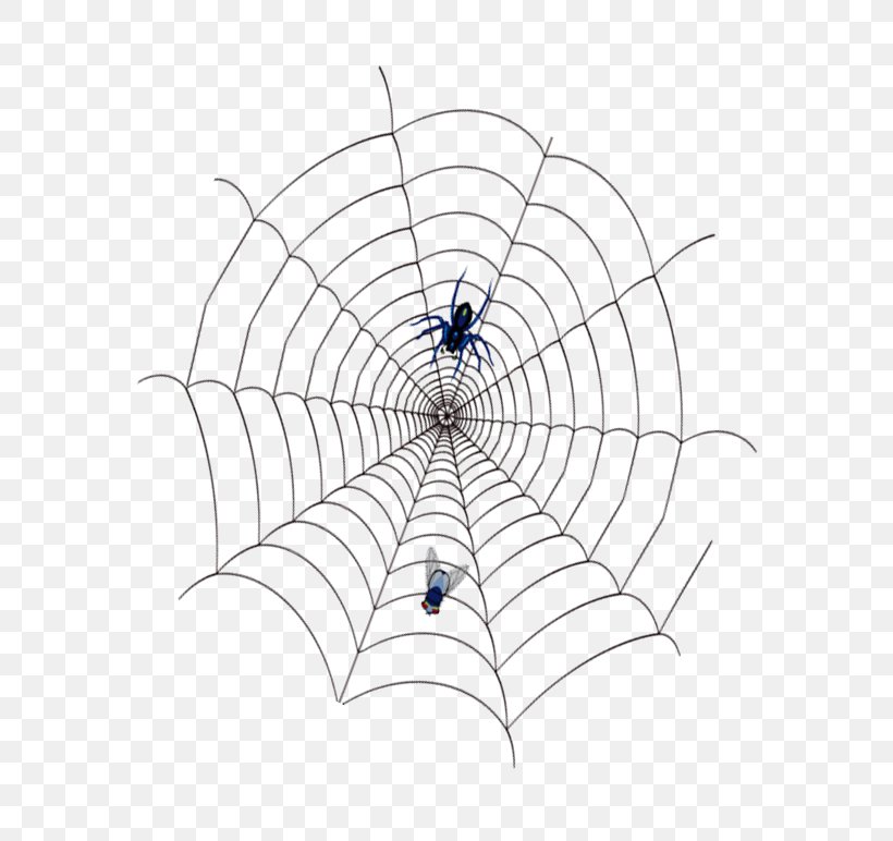 Spider Web, PNG, 696x772px, Spider, Area, Invertebrate, Point, Spider Diagram Download Free